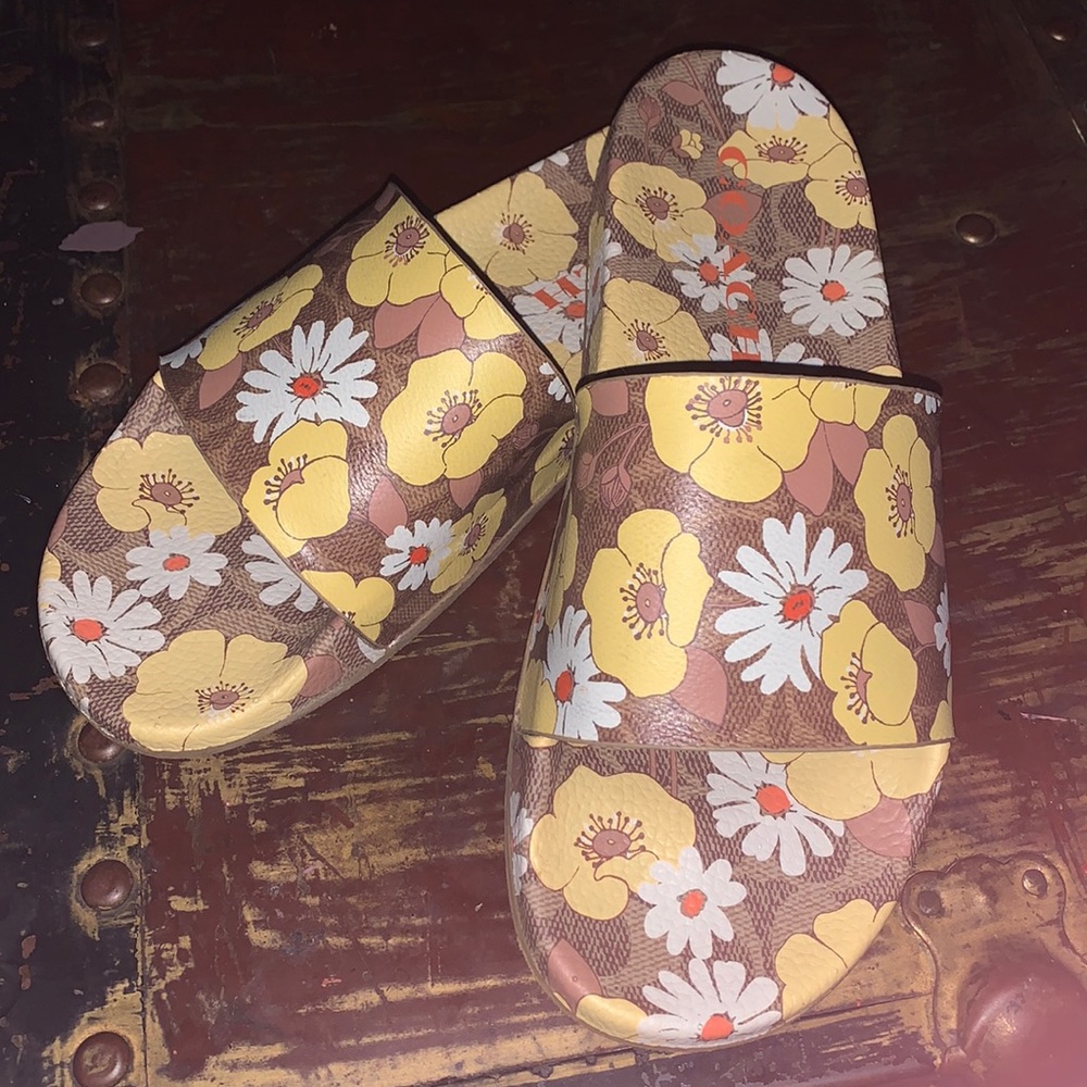 Coach Slides
